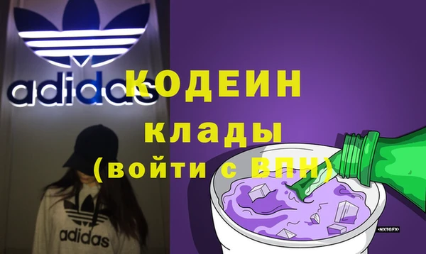 гидра Нестеровская