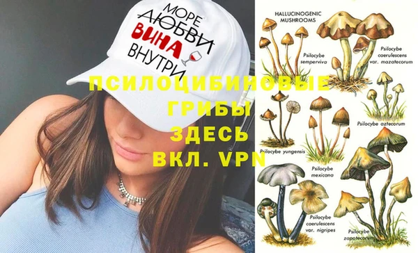 индика Фёдоровский