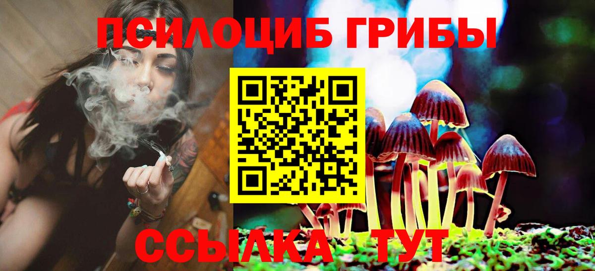 Псилоцибиновые грибы Psilocybine cubensis  наркотики  Ангарск  Галлюциногенные грибы MAGIC MUSHROOMS 