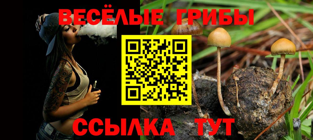 Псилоцибиновые грибы мицелий Ангарск
