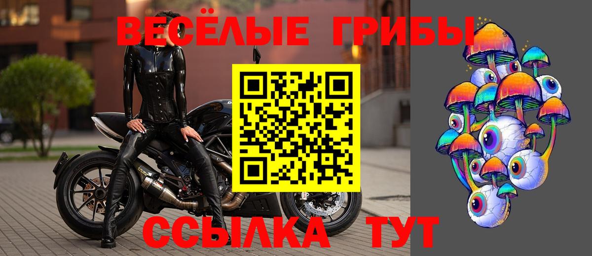 Ангарск  наркотики  Вход с VPN  Псилоцибиновые грибы Psilocybine cubensis 